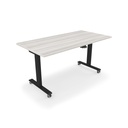 Euroline iRize Height Adjustable Desk with Flat Edge Top, 30″ x 60″ Rayne Harbor Elm 