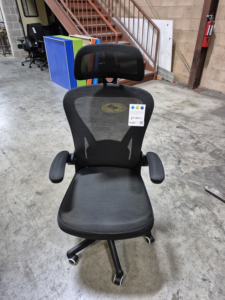 High Back Mesh Back Task Chair w/ Headrest