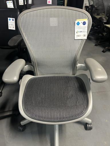 Aeron Size B Titanium (Fixed Arms) 